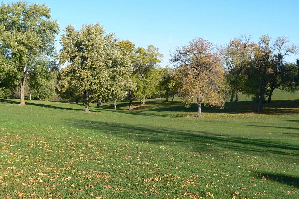 Open lawn with scattered mature trees under a clear blue sky in Elmwood Park.