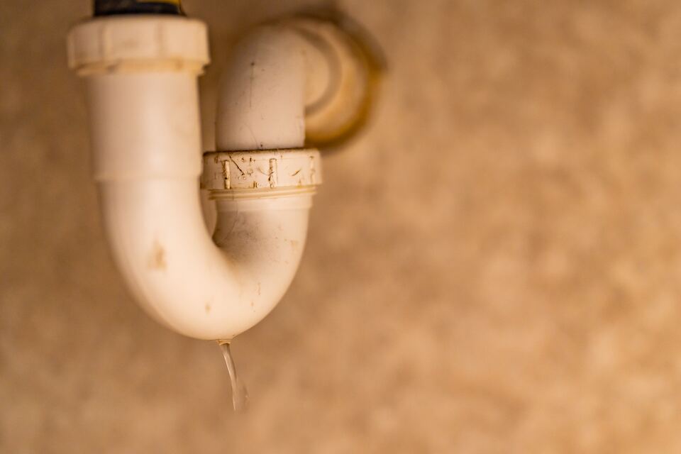 Close-up of a white PVC P-trap drain pipe under a bathroom sink with a drip of water falling from the joint.